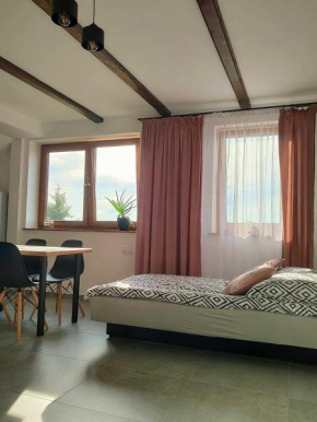 Apartamenty u Anety, Wilkasy